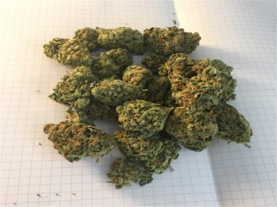 Buy Grape Ape Marijuana Strain Online